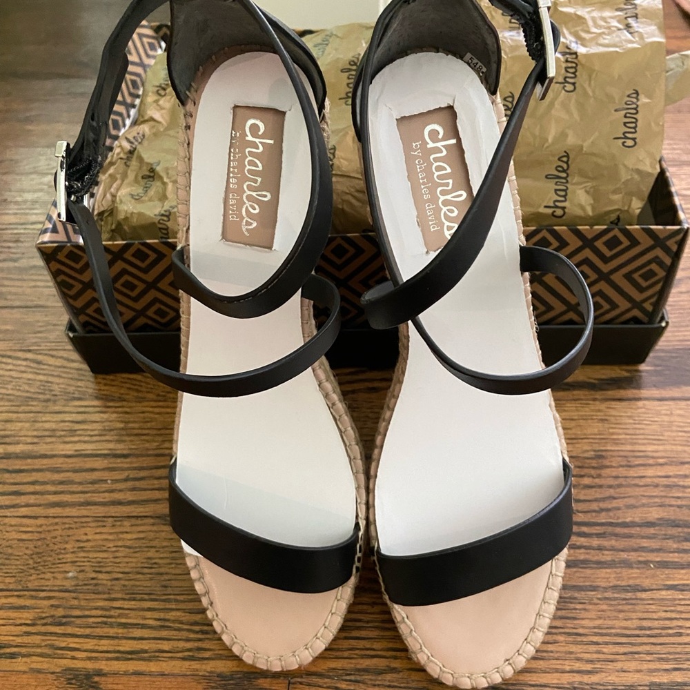 CHARLES by Charles David Nola Wedge Espadrille Sandals NWOT